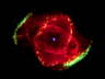 #244--_Cats_Eye_Nebula