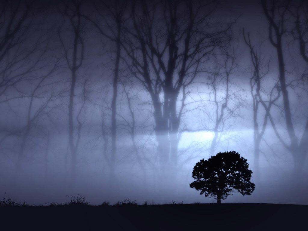 #26-1_tree
